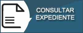 Boton CONSULTAR EXPEDIENTE